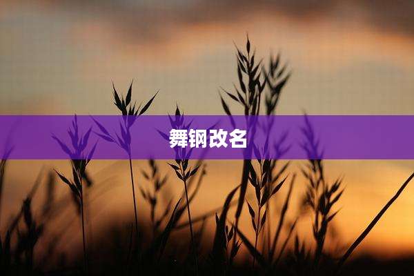 舞钢改名