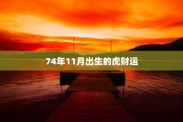 74年11月出生的虎财运