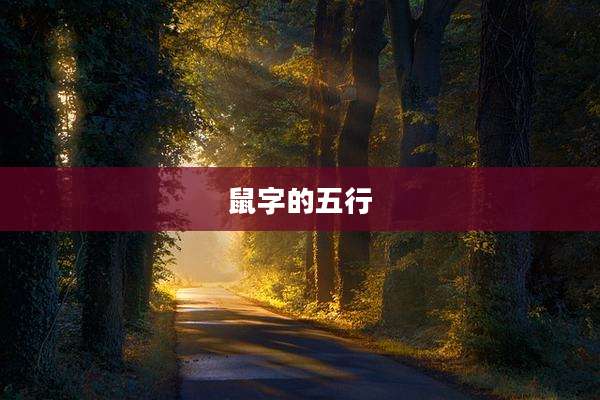 鼠字的五行