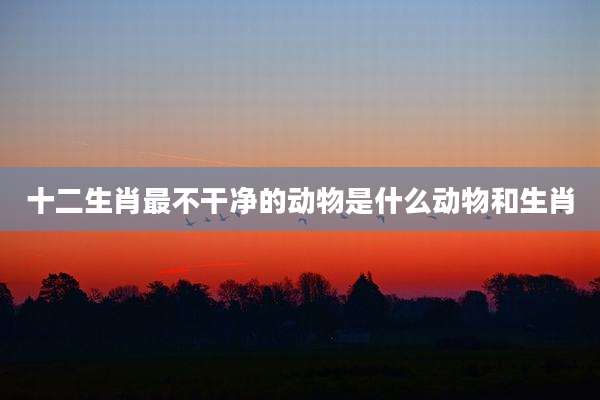 十二生肖最不干净的动物是什么动物和生肖