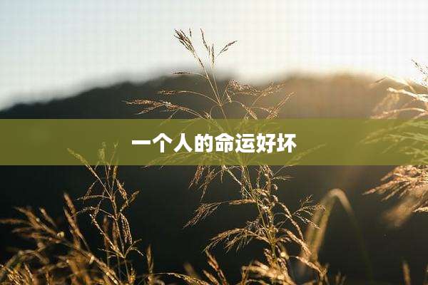 一个人的命运好坏