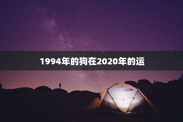 1994年的狗在2020年的运