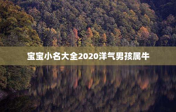 宝宝小名大全2020洋气男孩属牛