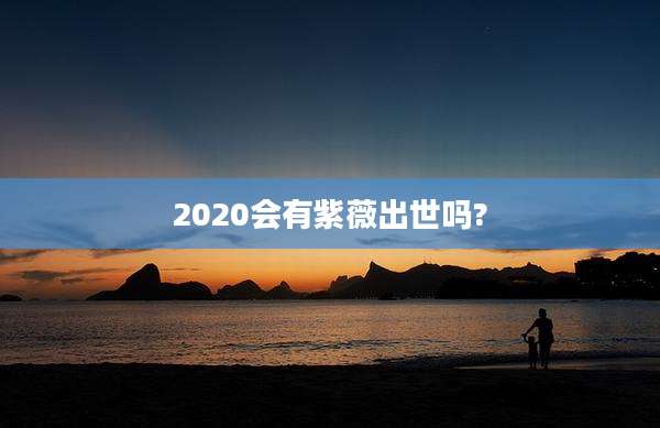 2020会有紫薇出世吗?