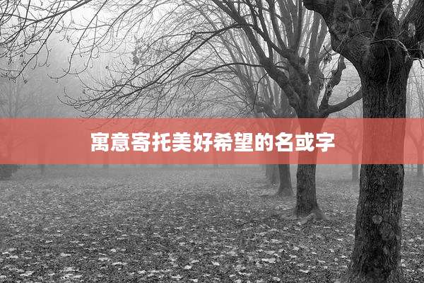 寓意寄托美好希望的名或字