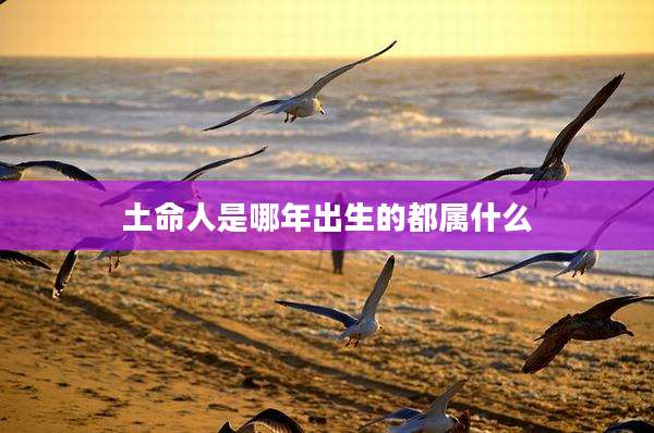 土命人是哪年出生的都属什么