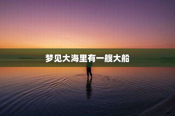 梦见大海里有一艘大船