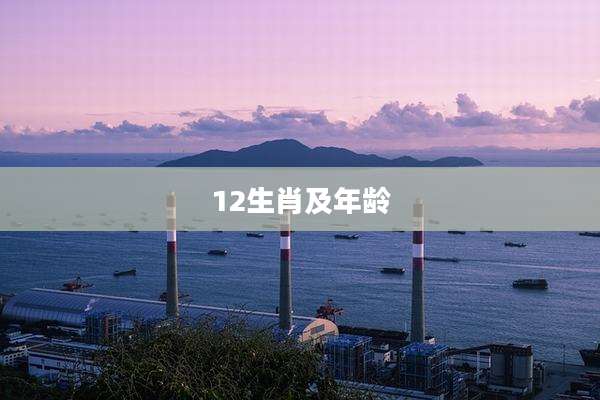 12生肖及年龄