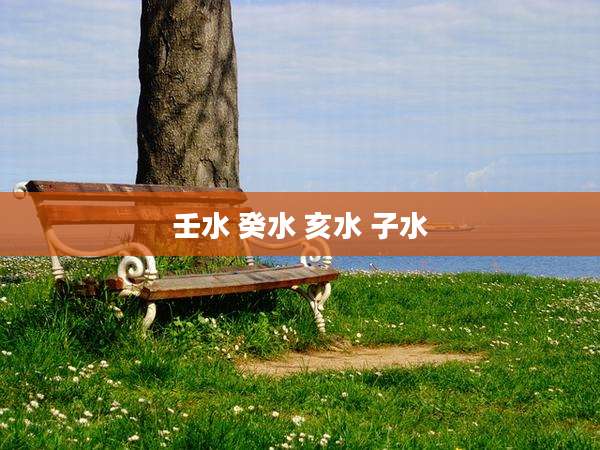 壬水 癸水 亥水 子水