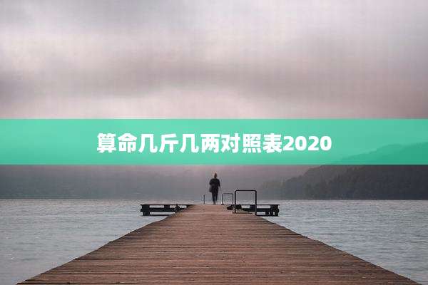 算命几斤几两对照表2020