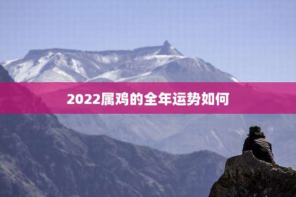 2022属鸡的全年运势如何