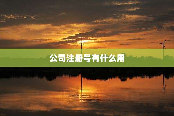 公司注册号有什么用