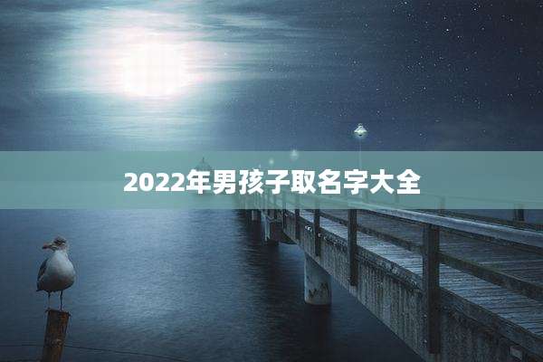 2022年男孩子取名字大全