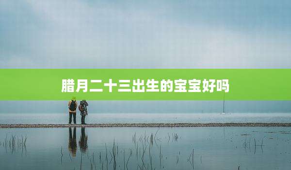 腊月二十三出生的宝宝好吗