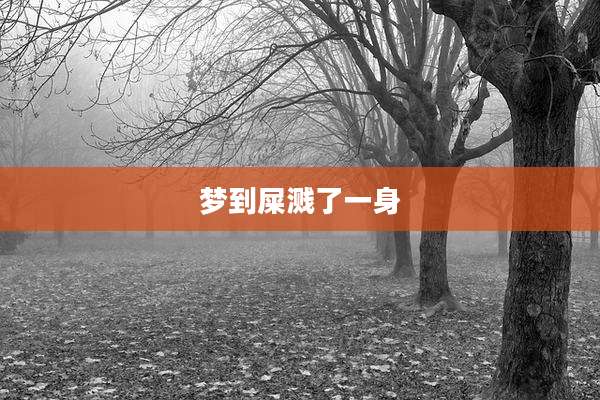 梦到屎溅了一身