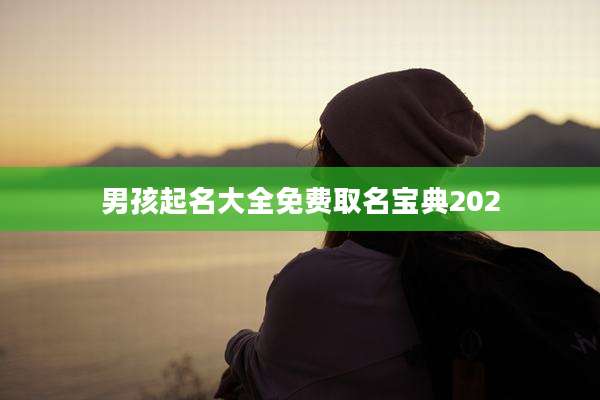 男孩起名大全免费取名宝典202