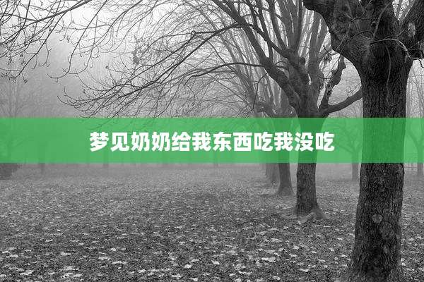 梦见奶奶给我东西吃我没吃