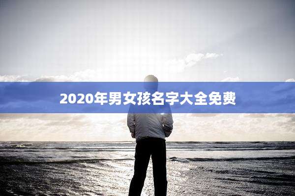 2020年男女孩名字大全免费