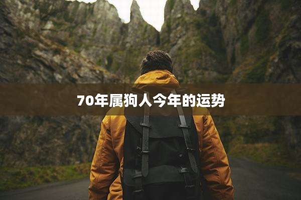 70年属狗人今年的运势
