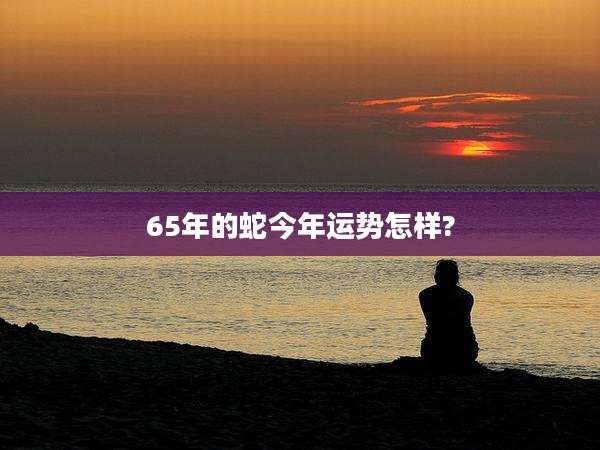 65年的蛇今年运势怎样?