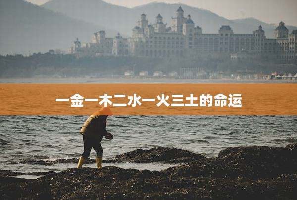 一金一木二水一火三土的命运