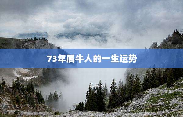 73年属牛人的一生运势