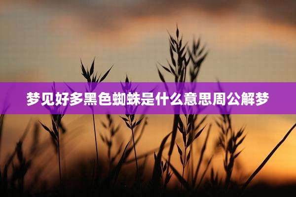 梦见好多黑色蜘蛛是什么意思周公解梦