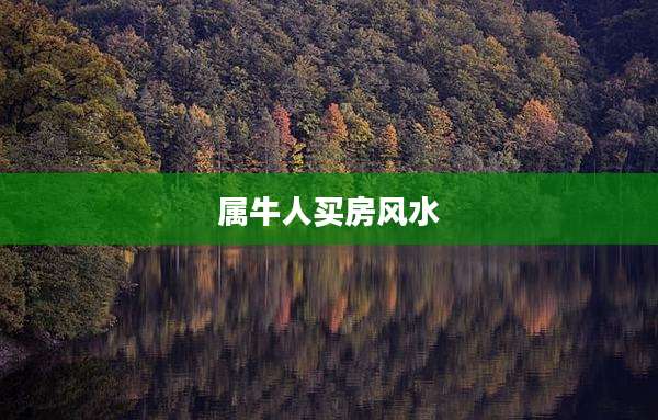 属牛人买房风水