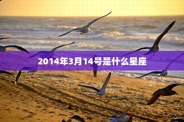2014年3月14号是什么星座