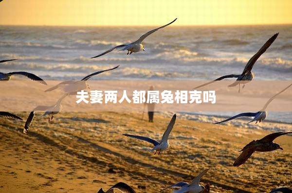 夫妻两人都属兔相克吗