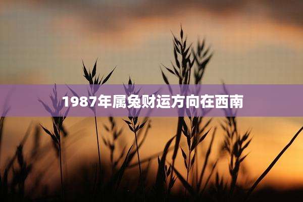 1987年属兔财运方向在西南