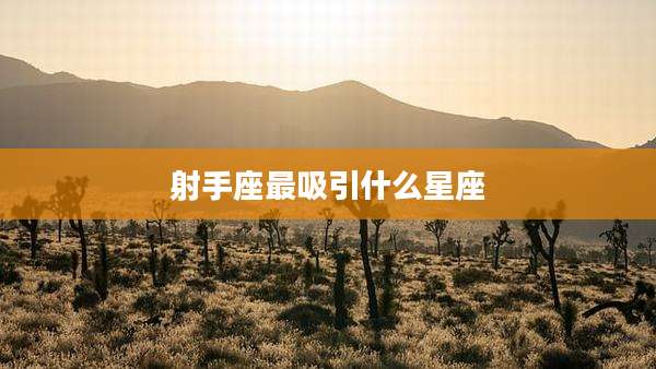 射手座最吸引什么星座