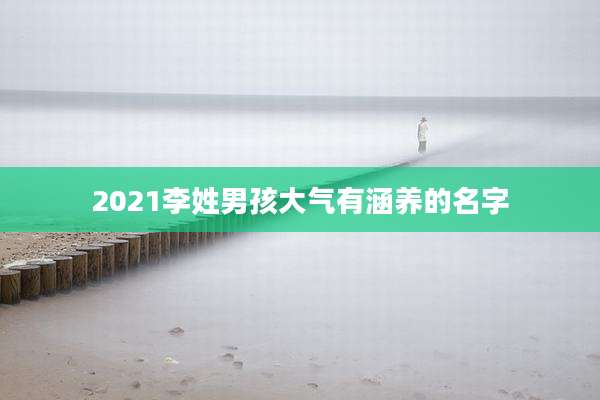 2021李姓男孩大气有涵养的名字
