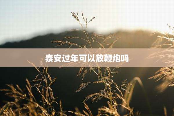 泰安过年可以放鞭炮吗