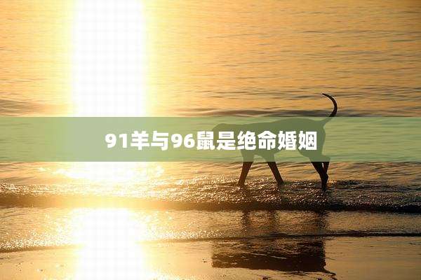 91羊与96鼠是绝命婚姻