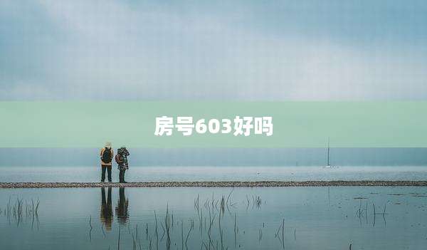 房号603好吗