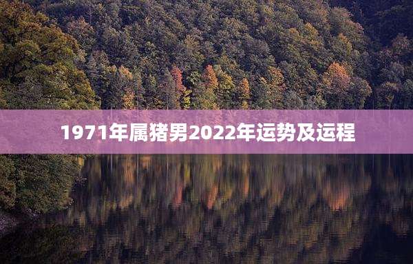 1971年属猪男2022年运势及运程