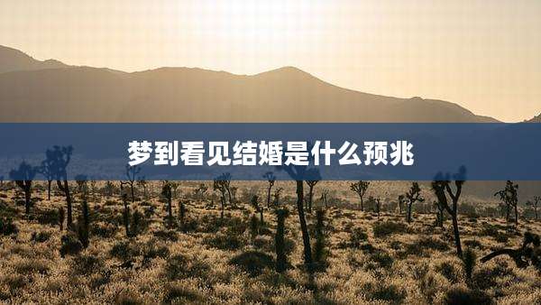 梦到看见结婚是什么预兆