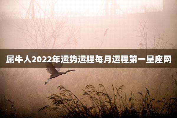 属牛人2022年运势运程每月运程第一星座网