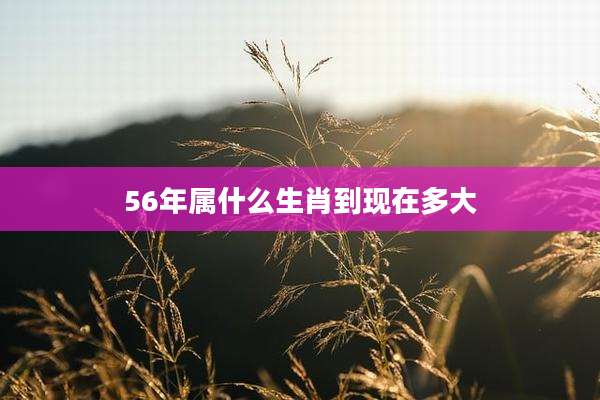 56年属什么生肖到现在多大