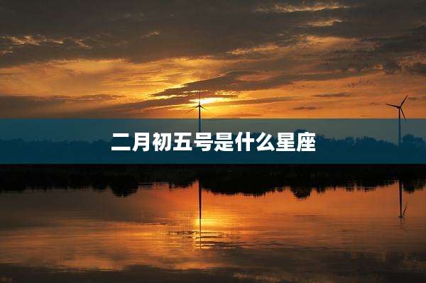 二月初五号是什么星座