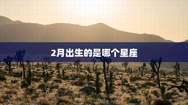 2月出生的是哪个星座