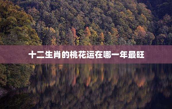 十二生肖的桃花运在哪一年最旺