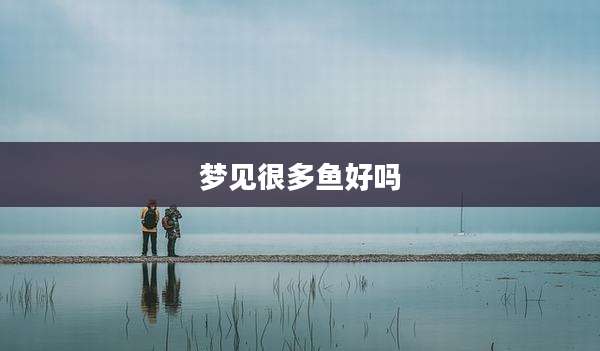 梦见很多鱼好吗