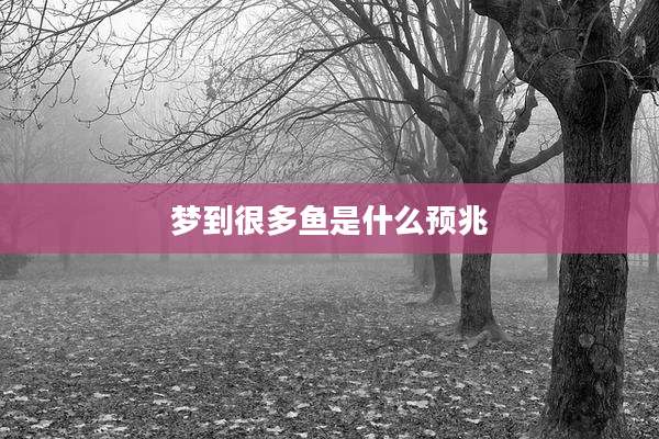 梦到很多鱼是什么预兆
