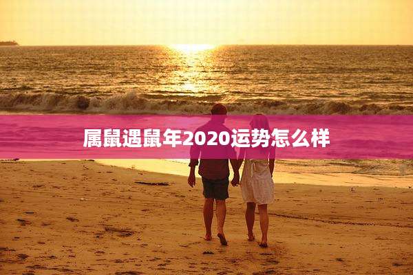 属鼠遇鼠年2020运势怎么样