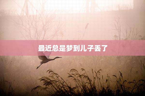 最近总是梦到儿子丢了
