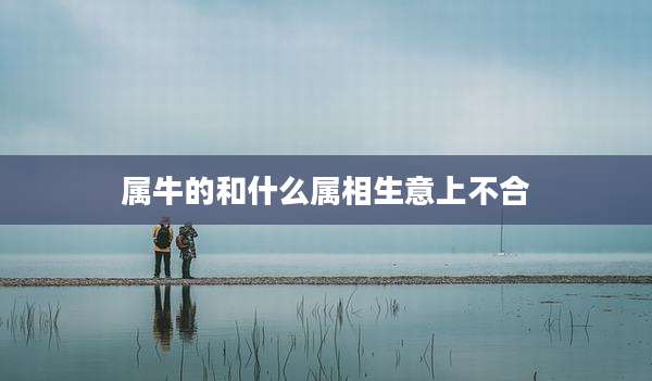 属牛的和什么属相生意上不合