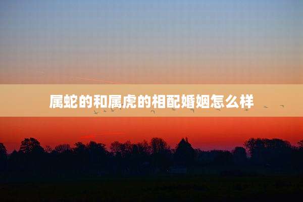 属蛇的和属虎的相配婚姻怎么样