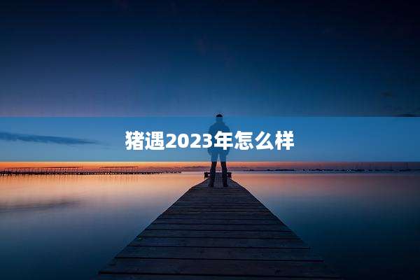 猪遇2023年怎么样